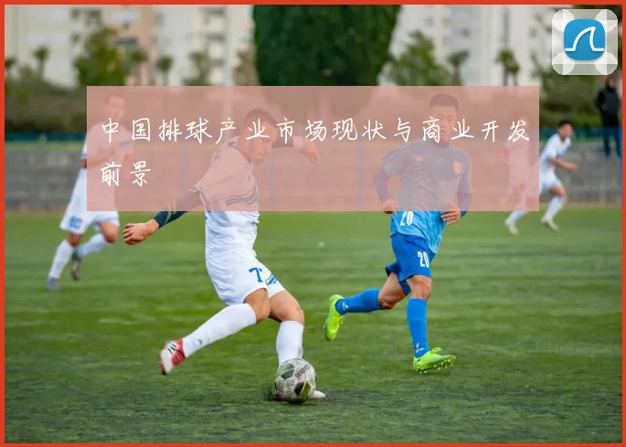 中国排球产业市场现状与商业开发前景
