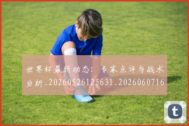 世界杯最新动态:专家点评与战术分析_20260526125631_20260607160512