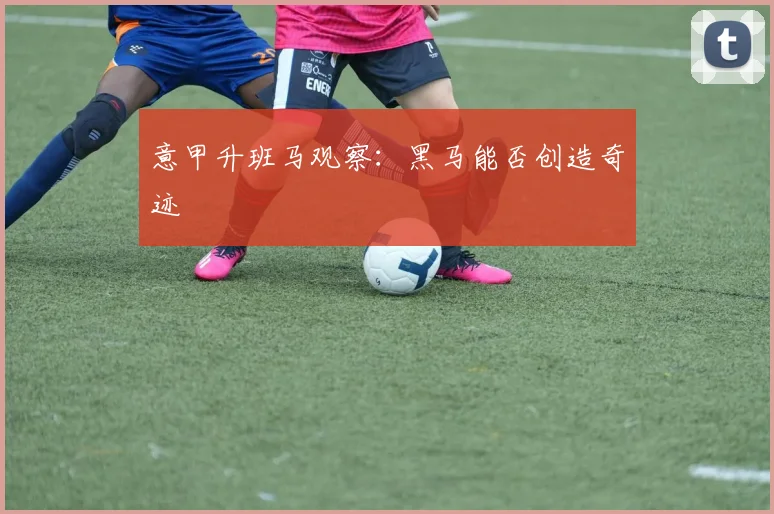 意甲升班马观察：黑马能否创造奇迹